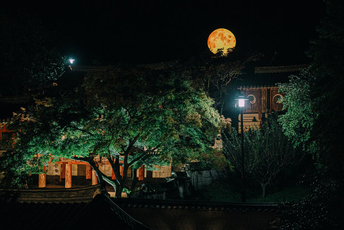 [기획보도] 경북 안동시, 2024 도산서원 야간개장 밤의서정(抒情) 개최