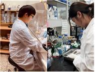 아주대 분자과학기술과 창업 '에스앤케이테라퓨틱스'...세 가지 플랫... - 뉴스 썸네일 이미지