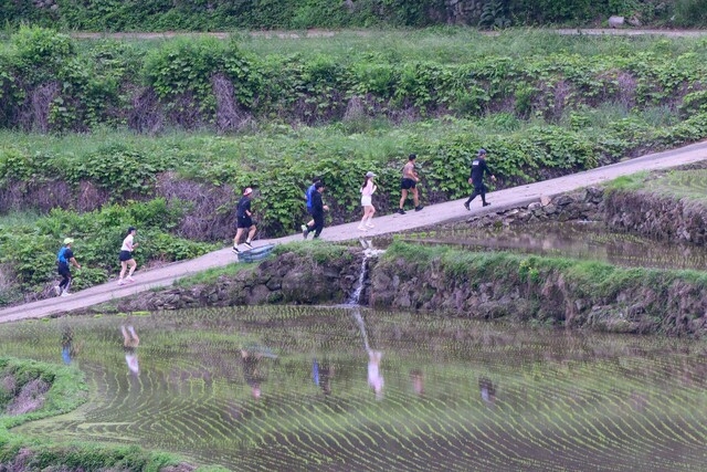 남해군, 다랑논 마라톤 대회 성료