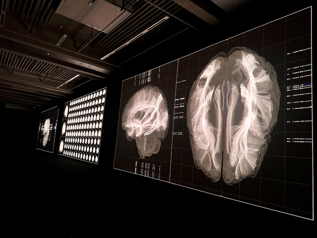 료지 이케다, 30여년만의 목소리 "오케스트라의 콘서트처럼 각자만의 ... - 뉴스 썸네일 이미지