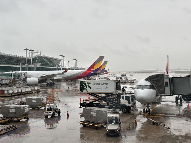 "공급좌석 줄이지마"⋯ 대한항공-아시아나 직원, '퀵턴·무박3일' 강... - 뉴스 썸네일 이미지