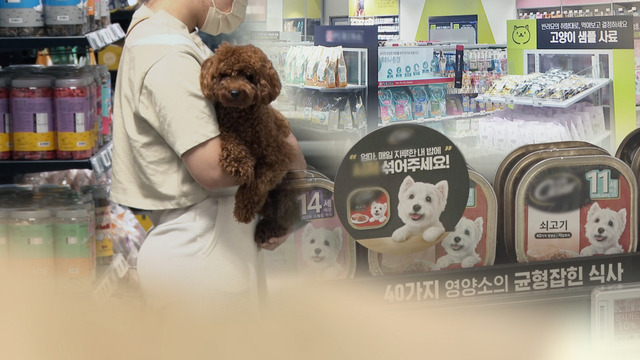 반려가구 591만 시대…지난해 펫보험 계약 25만건, 1년 새 55% 늘어