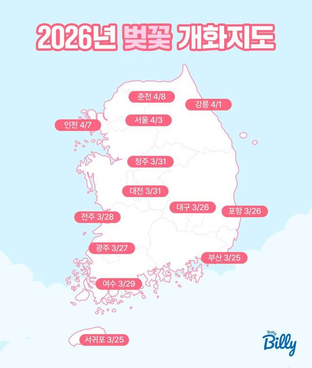 [기업동향] 베이비빌리, '2026 벚꽃 개화 정보' 콘텐츠 인기 - 뉴스 썸네일 이미지