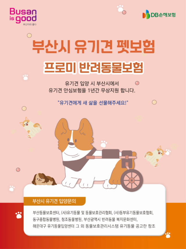 [www.viva100.com] 부산시, 유기견 입양 시 펫보험 1년 전액 지원