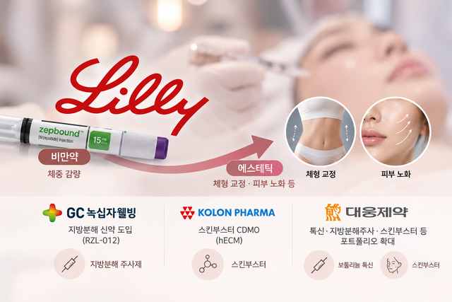 릴리부터 K-제약사까지⋯ 비만약 돌풍 타고 에스테틱 시장 달아오른다 - 뉴스 썸네일 이미지