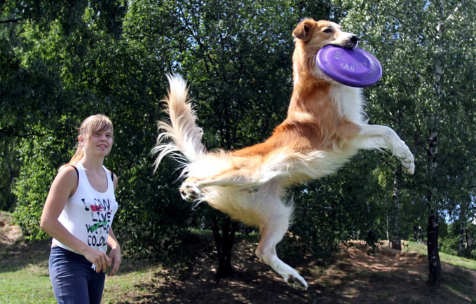 RUSSIA DOG FRISBEE