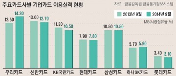 기업카드이용실적현황-01