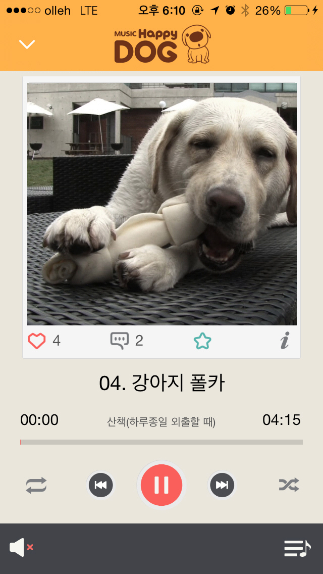 해피독뮤직3