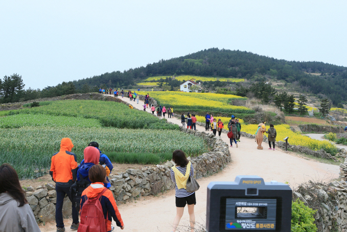 2014년 완도 청산도슬로우걷기축제 모습 (2)