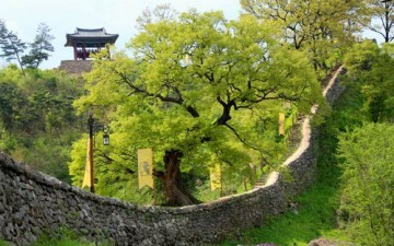 공주시,문화부공모`관광수용태세개선사업`선정