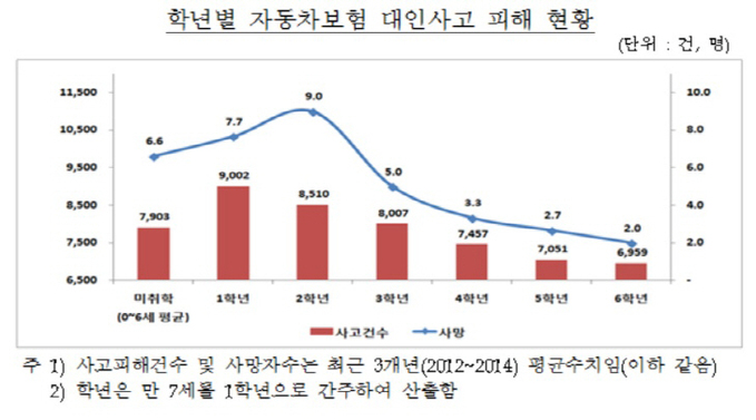 자동차보험 대인사고 피해현황