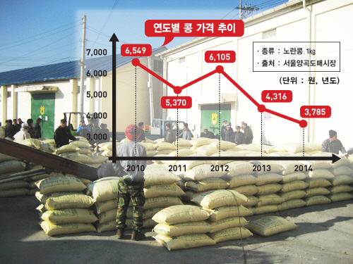 [사진] 콩작물 수입보장보험 관련사진