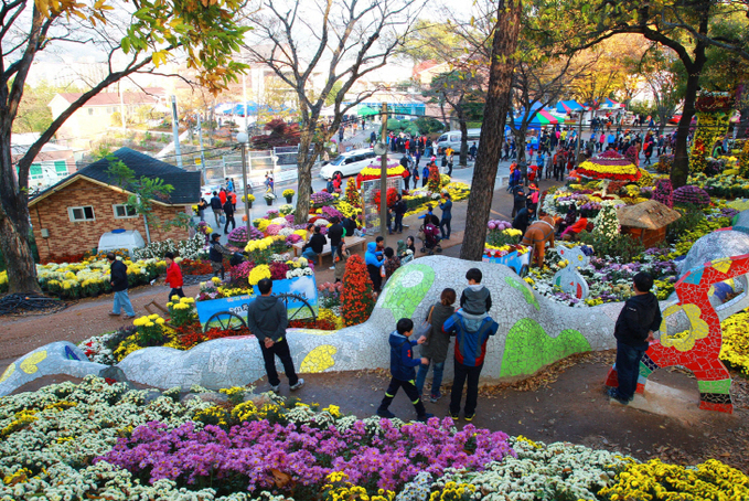 11월+9일+국화축제장+(182)+