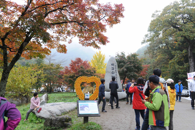 지난해 백양단풍축제 (1)