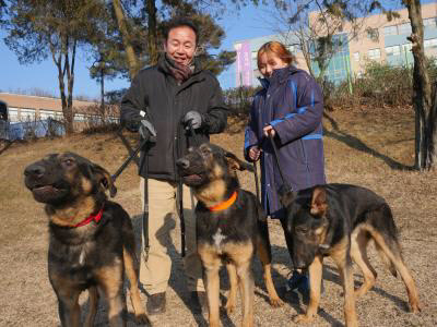 대경대학