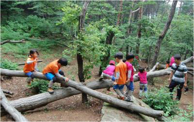 남부산림청