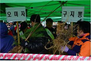 남부산림청