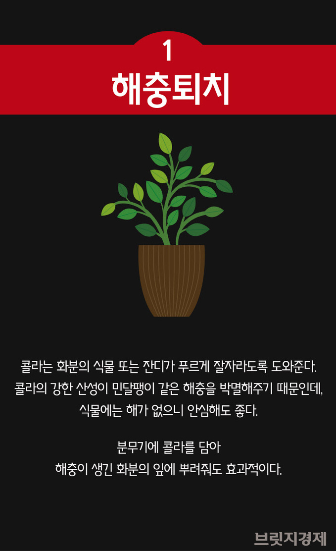 콜라기능-02