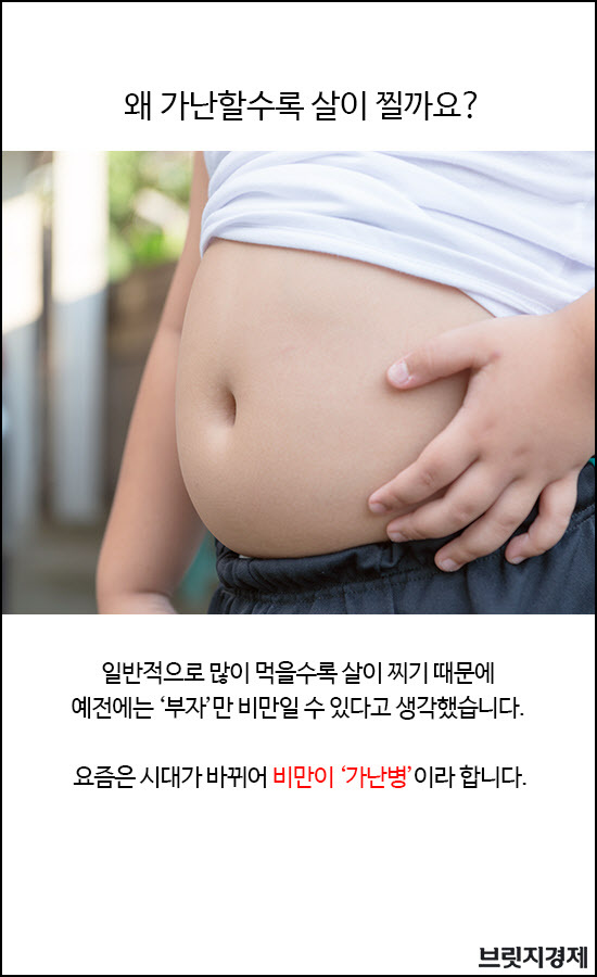 비만8