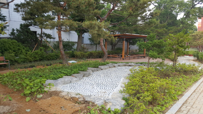 지동초 학교 숲1