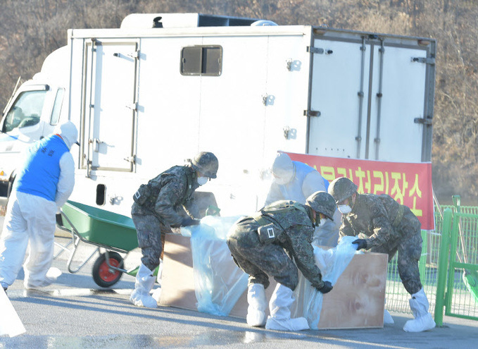 구제역