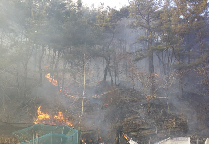 대구 산불