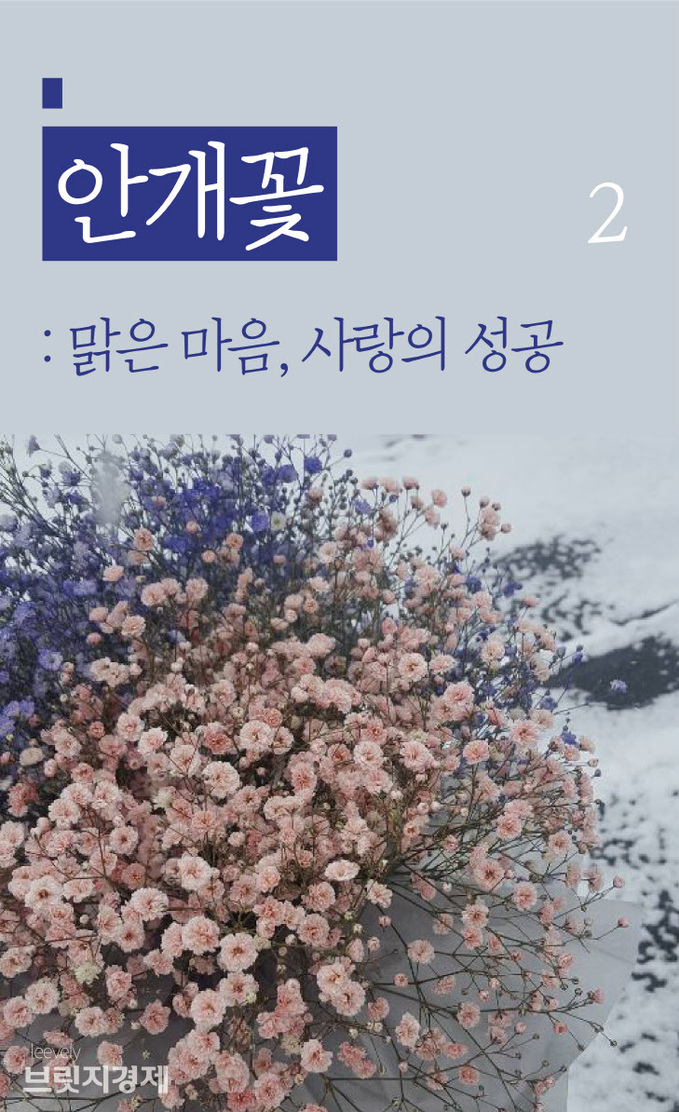 꽃말-03