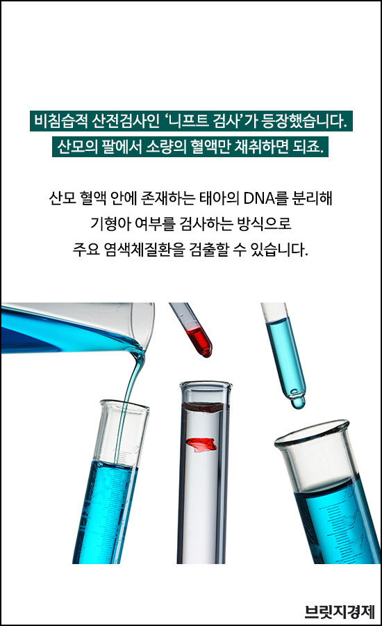 임신사전검사1