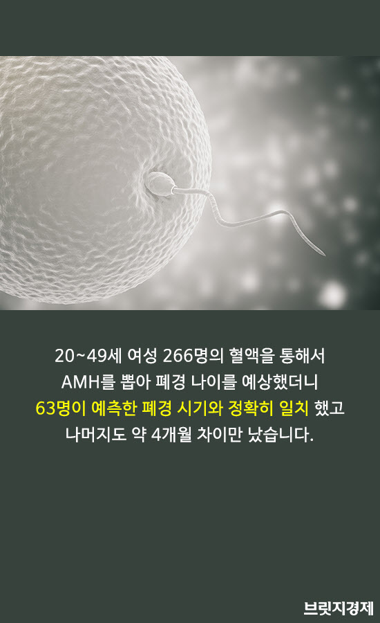 임신사전검사1