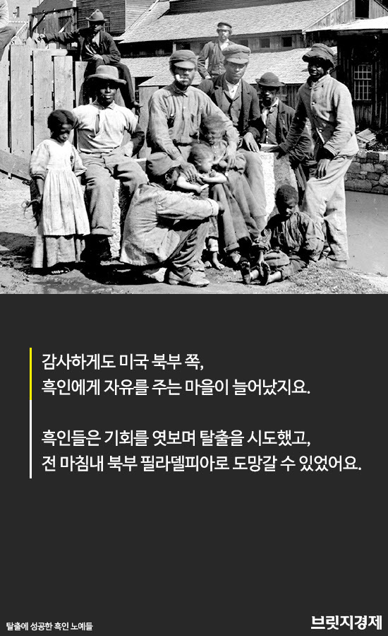 흑인사냥1