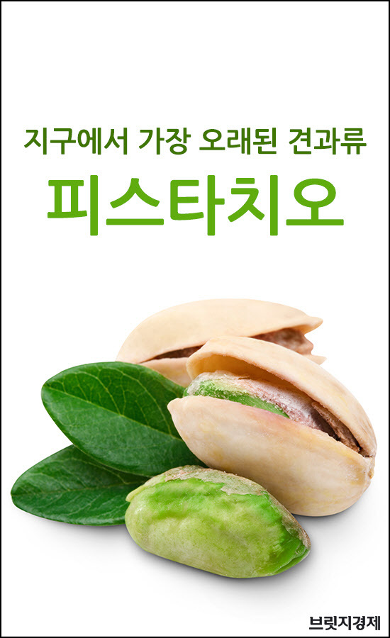 피스타치오1