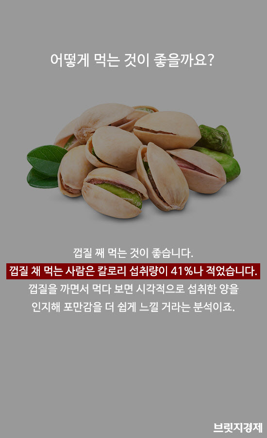 피스타치오1