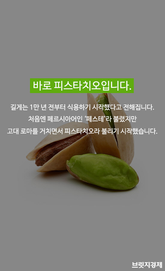 피스타치오1