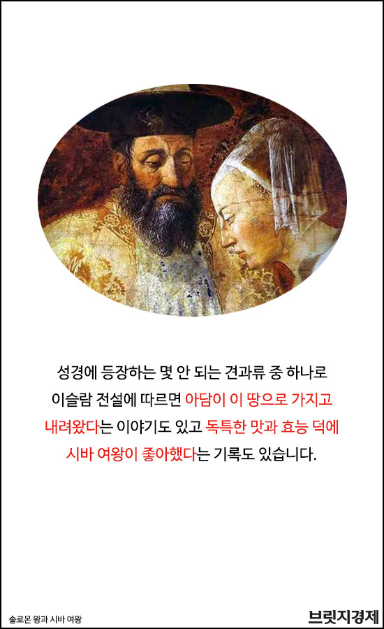 피스타치오1