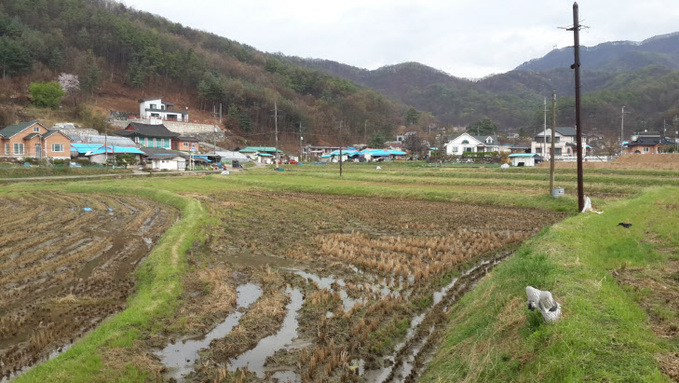 4. 양평질울고래실마을에 조성된 생태텃논전경