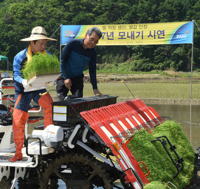 모내기 시연