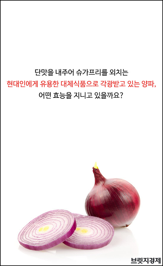 양파1