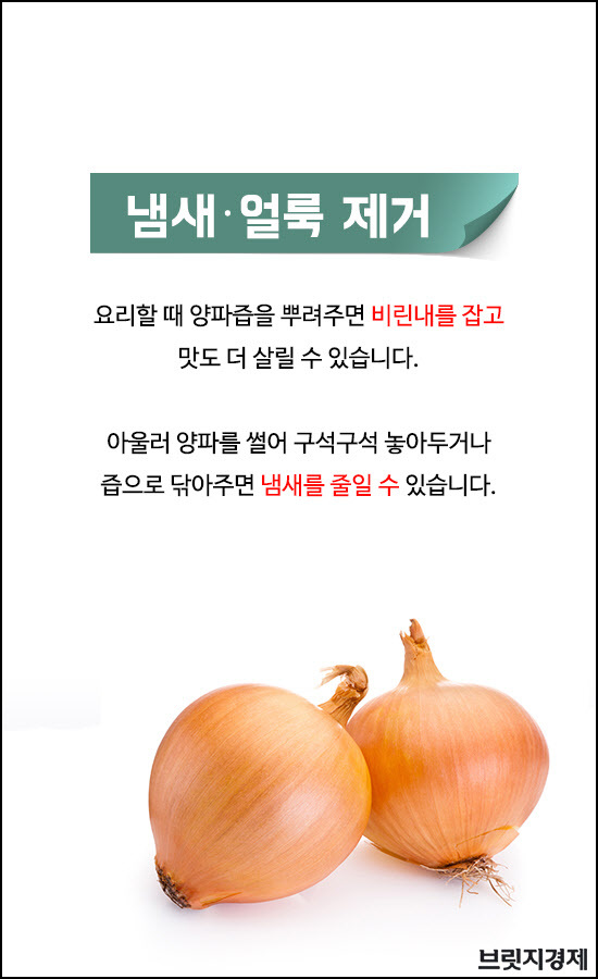 양파1