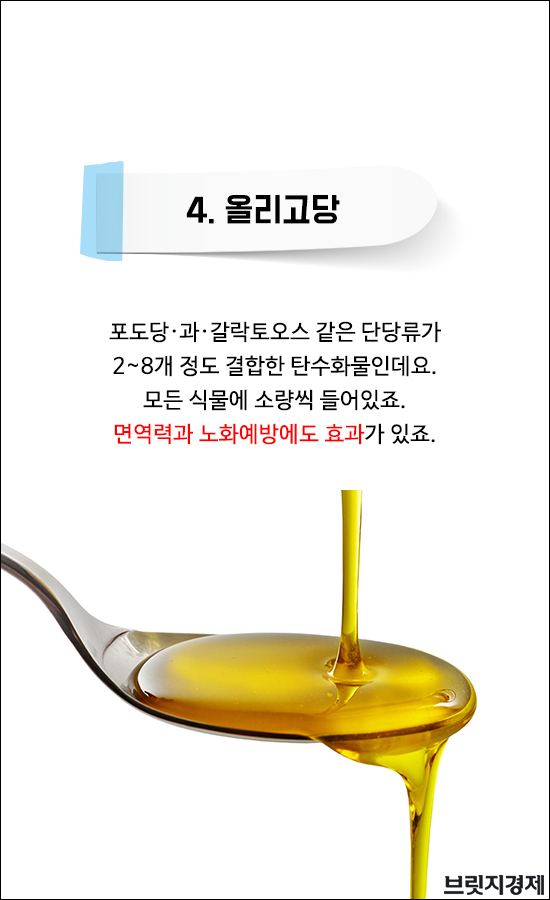 설탕대체9