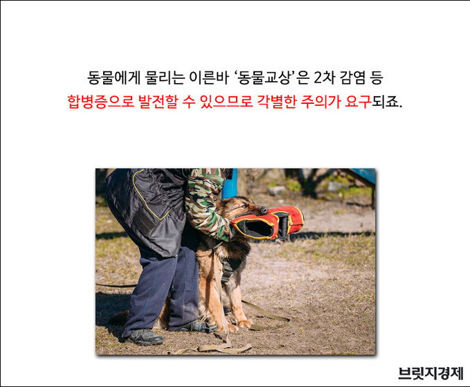 개물림1