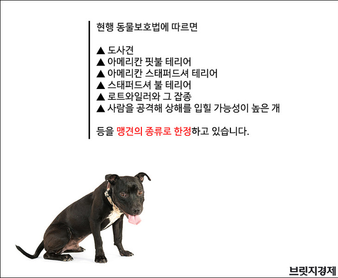 개물림1