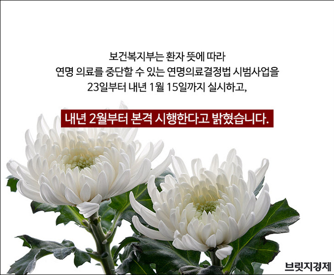 존엄사1