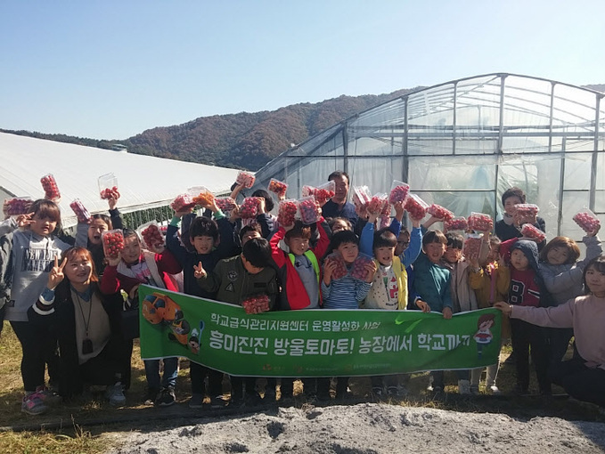 공주신관초 학생, 농가 방문 방울토마토 수확