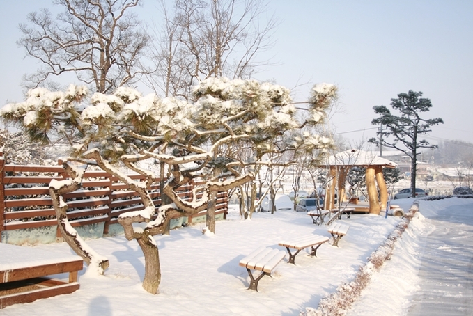 그린시티 안성에 소재한 안성종로기숙학원의 눈 내린 전경