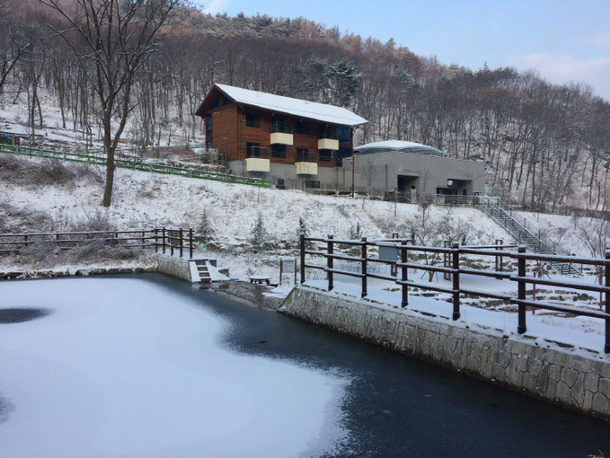 공주산림휴양마을의 겨울풍경 (1)