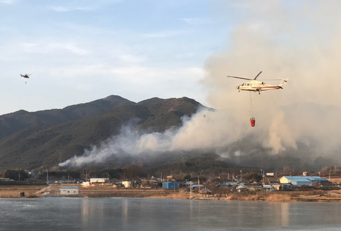 구례 야산에 불