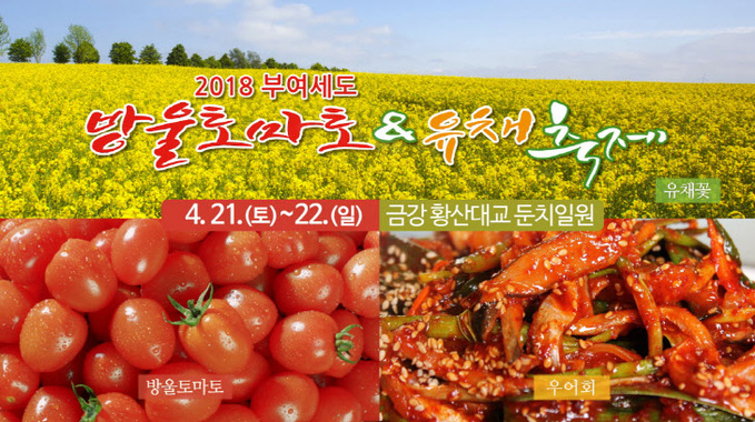 세도 방울토마토 유채 축제 홍보자료