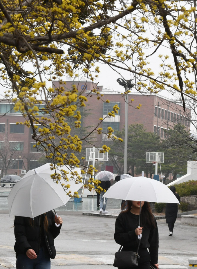 '빗방울 뚝뚝…미세먼지 씻어줄까'<YONHAP NO-4279>