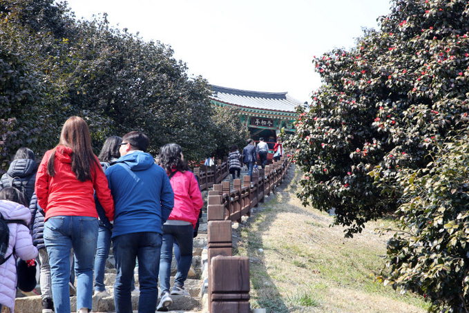 (18일) 제20회 동백꽃주꾸미 축제, 성공적 개막... 봄 전령사