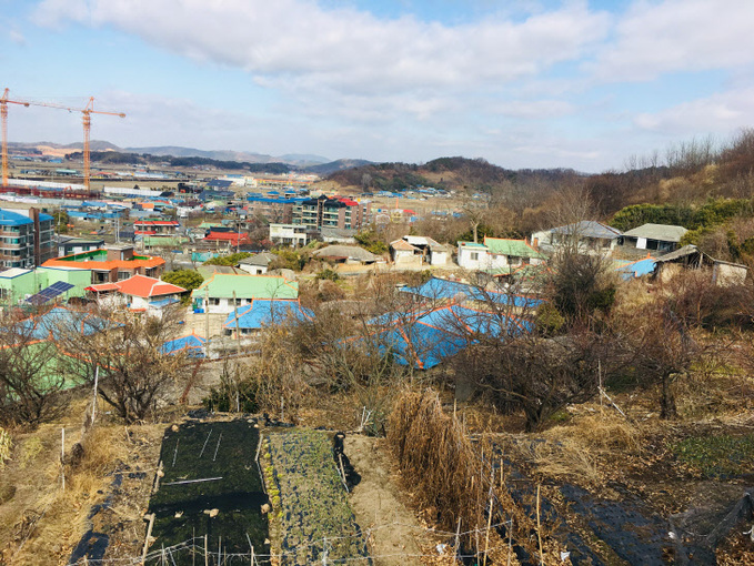 선정(성주 1리 마을 전경)